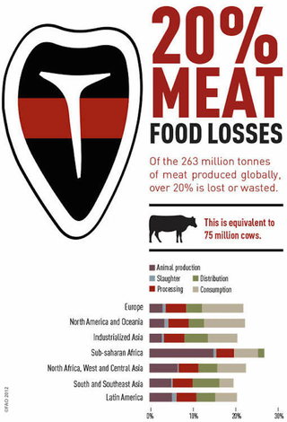 Illustration for article titled These Charts Show Which Foods Are Most Likely To Be Wasted